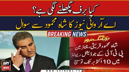 Exclusive: Shah Mehmood speaks to ARY News