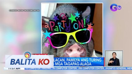 Pet Pig sa Bulacan, Itinuturing na Pamilya 💖