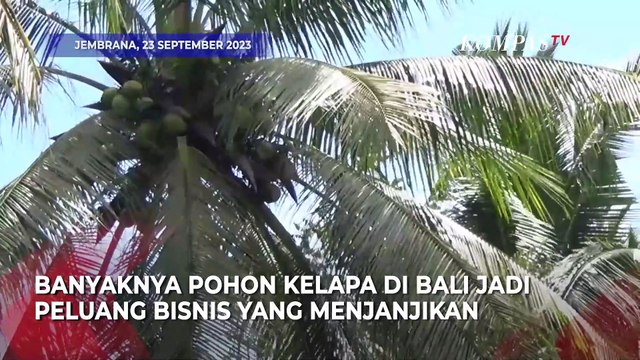 Raup Cuan dari Kerajinan Piring Lidi Daun Pohon Kelapa, Pengrajin Jual hingga ke Luar Negeri
