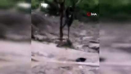 Meksika'da şiddetli yağışlar sonucu sel felaketi: 8 ölü, 2 kayıp