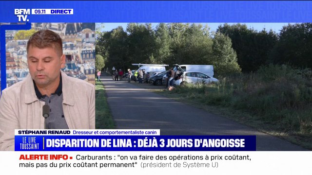 Les chiens sont formés sur environ deux ans : ce dresseur canin explique l'utilité des Saint-Hubert, qui participent aux recherches de disparus
