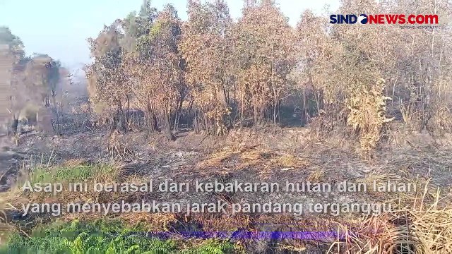 Asap Pekat Karhutla Ganggu Jarak Pandang di Kalsel, Truk Terjerembap Masuk Parit
