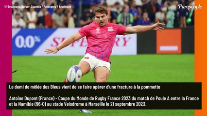 "S'il prend un coup, cela peut faire de gros dégâts" : Antoine Dupont, son retour avec les Bleus inquiète grandement