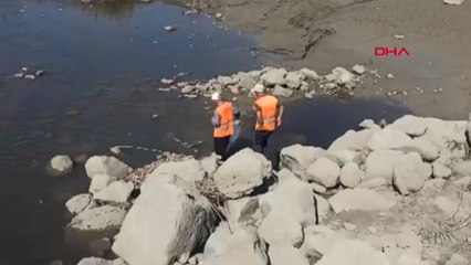 Karasu Çay'ında kıyıya vuran balıklar toplanıp çukura gömüldü