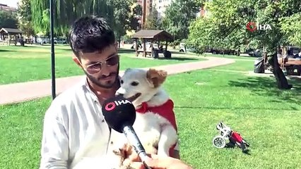 Köpeği felç kaldıktan sonra Müslüman oldu