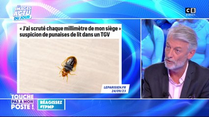 Des punaises de lits repérées dans un TGV !