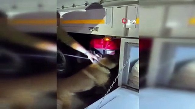 Ağrı'da İran uyruklu şahsın kullandığı tırda 24 kilo 810 gram sıvı metamfetamin ele geçirildi