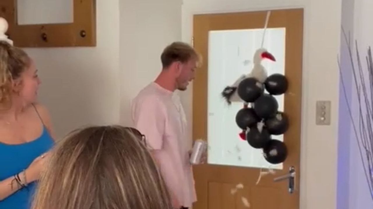 Parents-to-be popping with delight during fun-filled gender reveal for their triplets