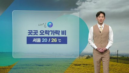 [날씨] 내일도 곳곳 비...기온 오르며 선선 / YTN