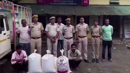 झालावाड़: तस्करों के खिलाफ पुलिस का एक्शन, बड़ी मात्रा में डोडा चूरा बरामद