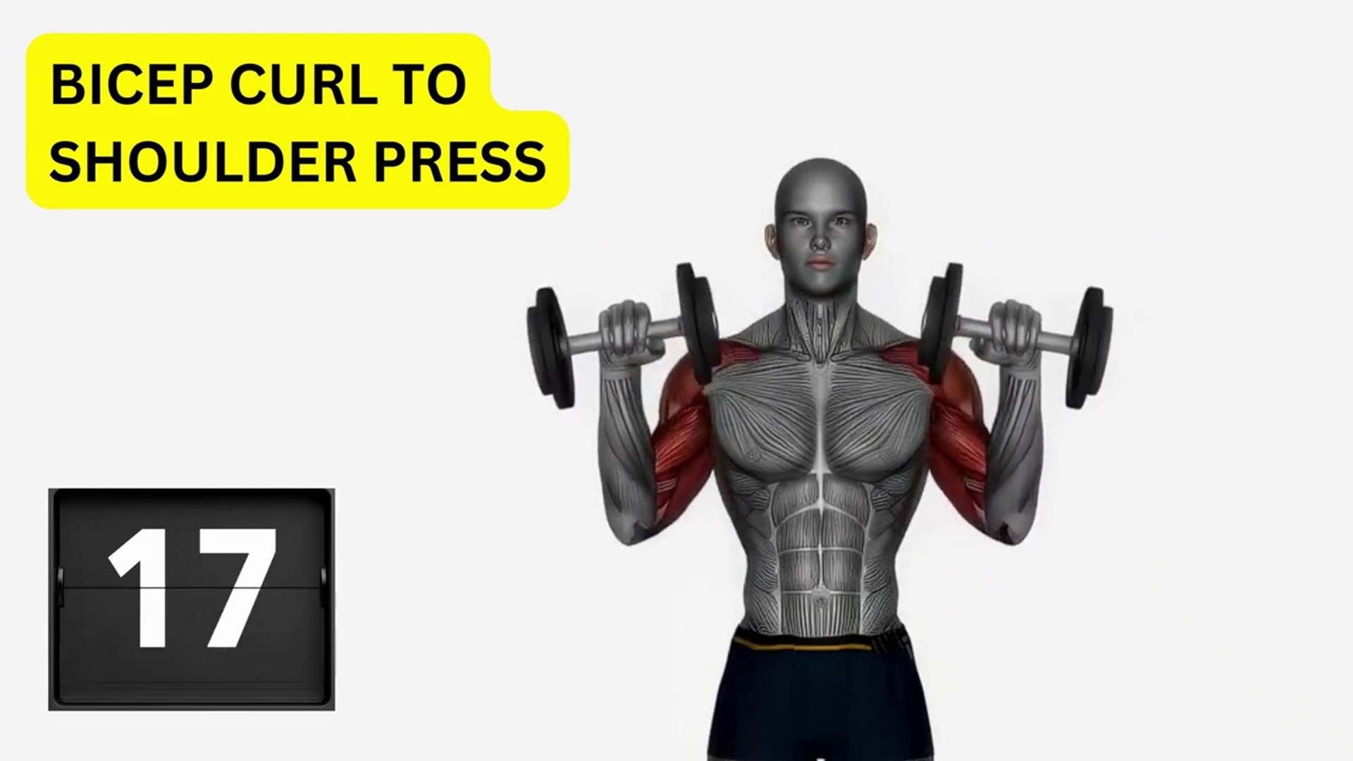 This Trick Can Build Bigger Biceps in 5 Minutes No Gym Flex UP