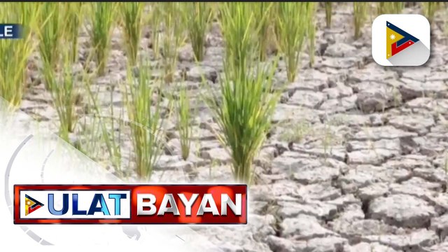 Cooperative Development Authority, patitibayin ang food security at bubuo ng framework para sa risk reduction vs. climate change