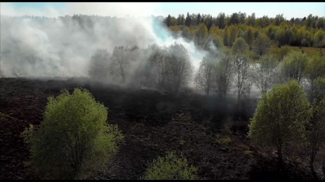 Incendi boschivi, un problema in forte crescita