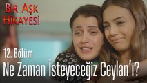 Ne zaman isteyeceğiz Ceylan'ı? - Bir Aşk Hikayesi