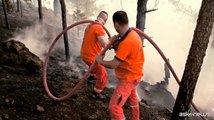Incendi boschivi, un problema in forte crescita