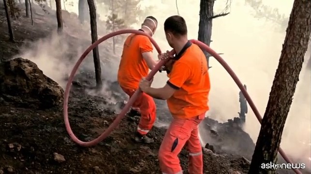 Incendi boschivi, un problema in forte crescita
