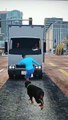 GTA 5 gaming video viral trending