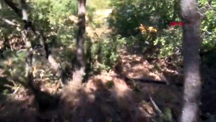 Meurtre de Sibel Yenigün à Eskişehir : Son corps est fouillé dans la falaise et la forêt