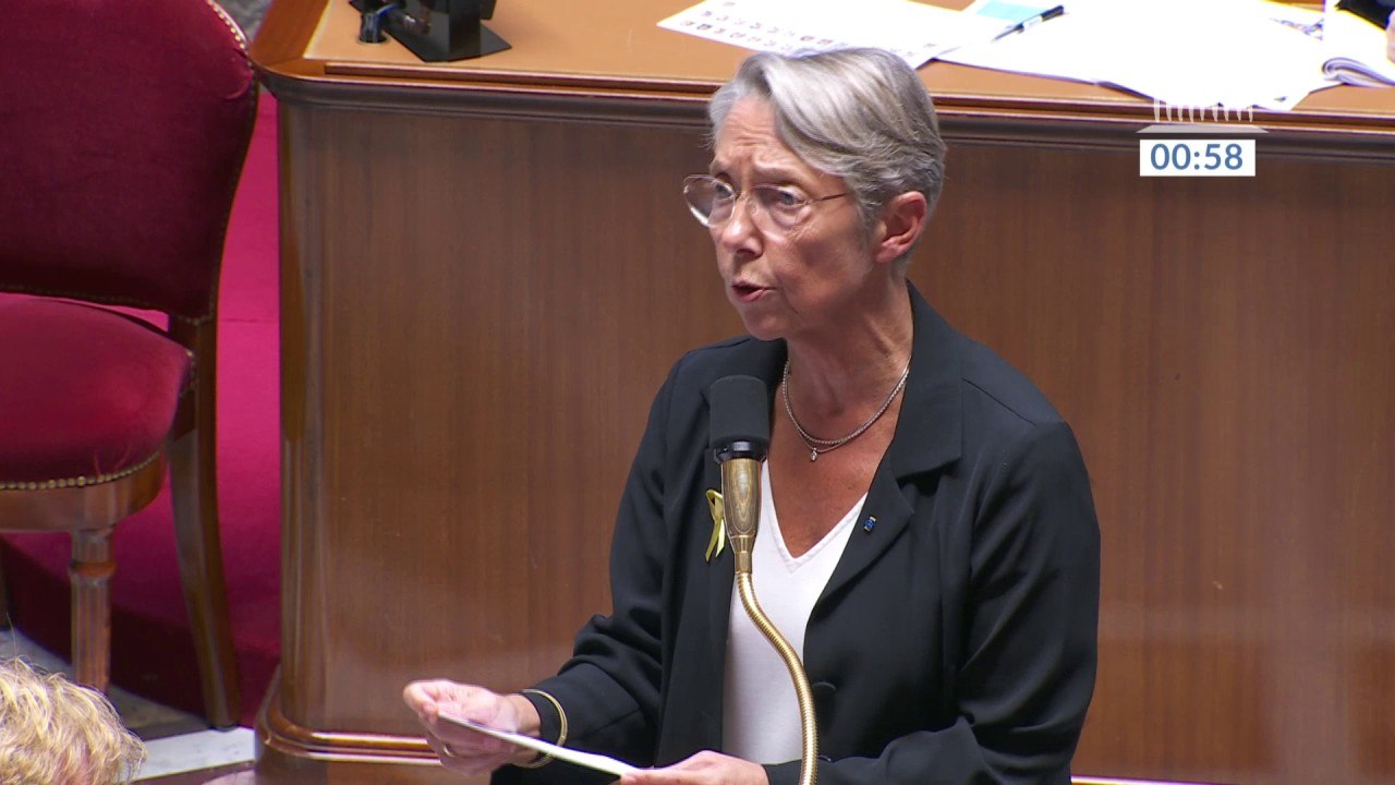 "Cela va nous permettre de sortir de notre dépendance aux énergies fossiles": Elisabeth Borne défend le plan du gouvernement pour l'écologie