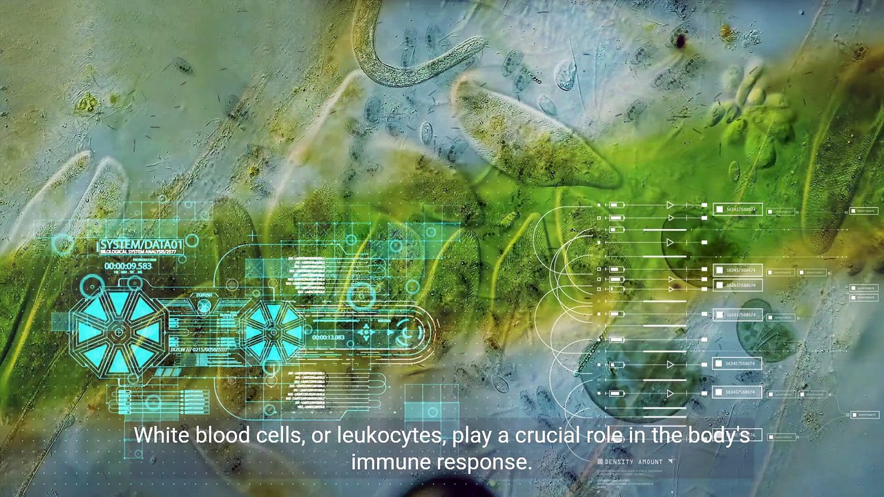 Chronic Diseases and White Cell Disorders - Understanding the Connection