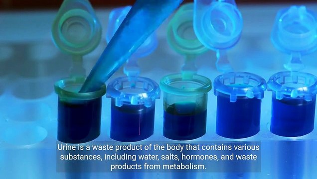 Understanding Urine Testing - Importance and Uses in Medical Diagnostics (3 Minutes Microlearning)