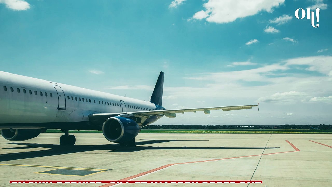 Les voyageurs d'un avion remboursés après 13 heures de vol aux côtés d'un chien péteur