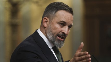 Abascal responsabiliza al propio Feijóo del fracaso de su investidura: "Llamó al voto útil para no depender de Vox"