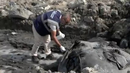 İstanbul Sultangazi'de 'kimyasal' endişesi