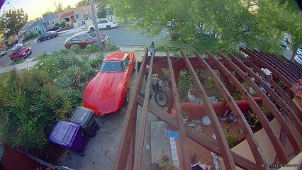 Neighborhood Kid Tips Motorcycle Into Classic Corvette