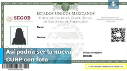 ¿CURP tendrá fotografía? Senado aprueba en comisiones nueva Ley de Población