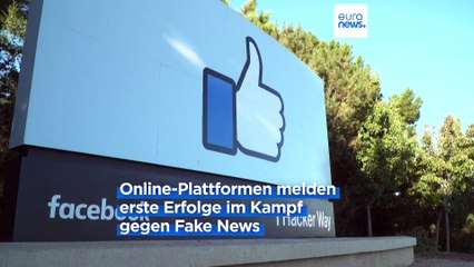 Brüssel befürchtet russische Desinformation bei Wahlen in der EU