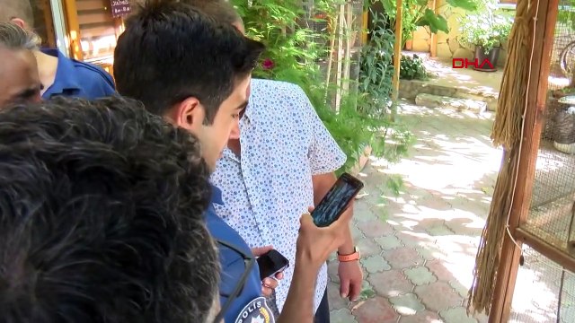 Lors de la bagarre survenue lors de l'évacuation des perroquets et des canaris d'un établissement touristique à Antalya, 1 perroquet est mort et 3 canaris ont été attrapés par le chat.