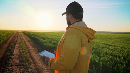 La crisi del clima sta devastando l'agricoltura