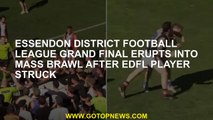 Essendon Regional Football League Grand Final, EDFL player after being shot in a mass fight