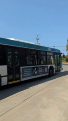 Étudiants exo - (Gravité - Vicky Girard)