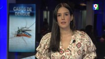 Continúan saturados hospitales por dengue | Primera Emisión SIN