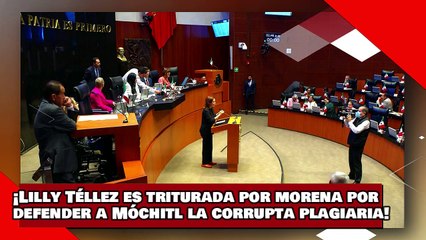 ¡VEAN! ¡Lilly Téllez es triturada por morena por defender a Móchitl Gálvez la corrupta y plagiaria!