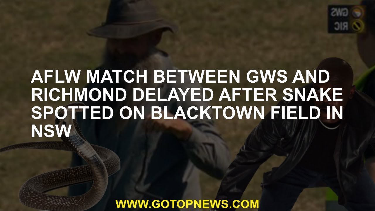 AFLW match between GWS and Richmond was delayed after being seen in Blacktown Field in NSW