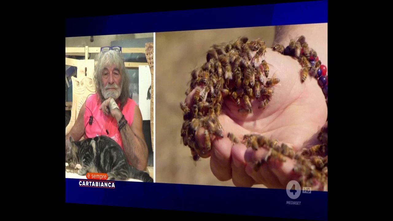 se muoiono le api muore anche l'uomo