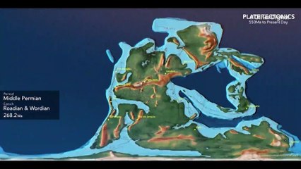 Supercontinente vai acabar com a maioria dos mamíferos terrestres