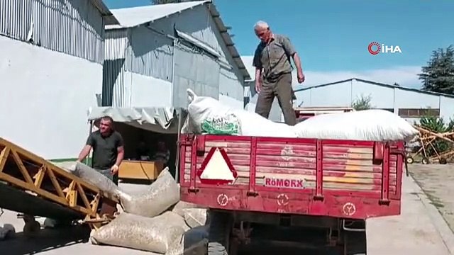 Afyonkarahisar'da Haşhaş Kapsülü Alımı Başladı