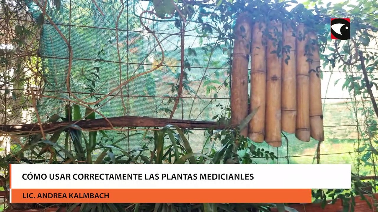 Cómo hacer un botiquín casero con plantas medicinales