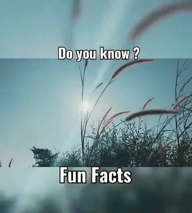 Brain in 25 years old People