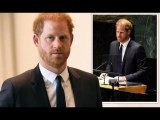 Le prince Harry devrait rester à l'écart de la politique - 