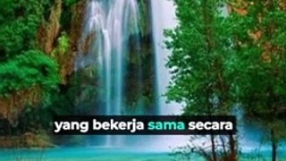 Keajaiban Dunia Lebah: Pemelihara Alam yang Kecil