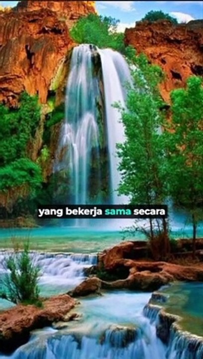 Keajaiban Dunia Lebah: Pemelihara Alam yang Kecil