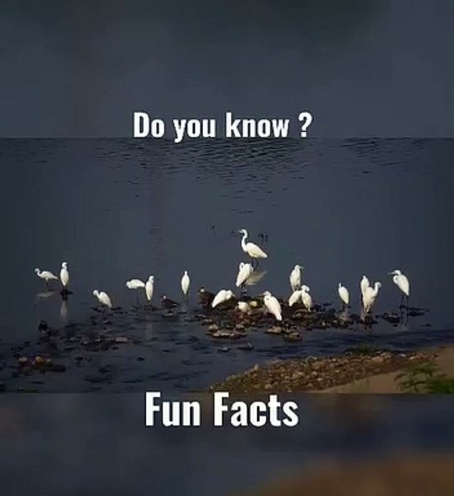 People Recall Information