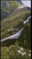 Ajeeb hai ya muhabbat ka silsila Iqbal || Islamic poetry || Islamic status