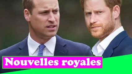 Le prince Harry "conduit le coin avec un marteau" à travers la relation avec le prince William