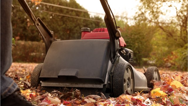 Wann ist es an der Zeit, das letzte Mal den Rasen zu mähen?